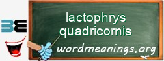 WordMeaning blackboard for lactophrys quadricornis